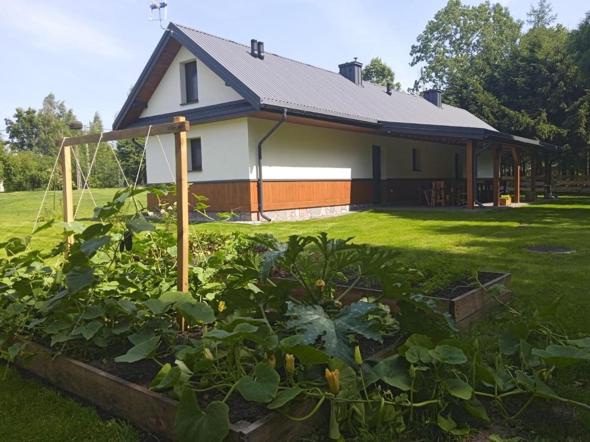 Apartamento Siedlisko Czarny Dzieciol Narewka Exterior foto